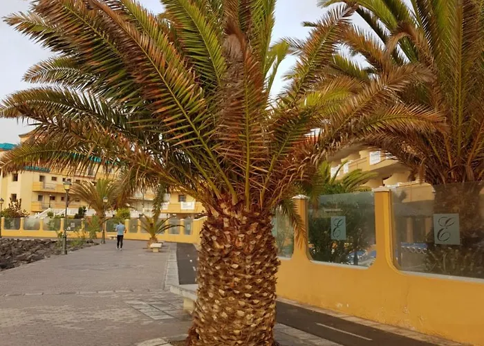 Apartamento Caleta Amigos 6b *