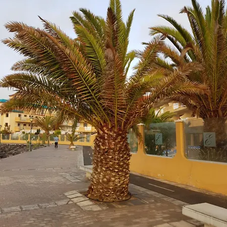 Apartamento Caleta Amigos 6b *